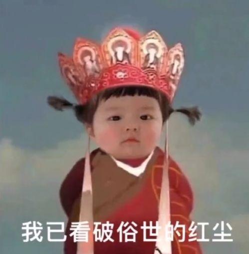 吃瓜表情包图片丸子